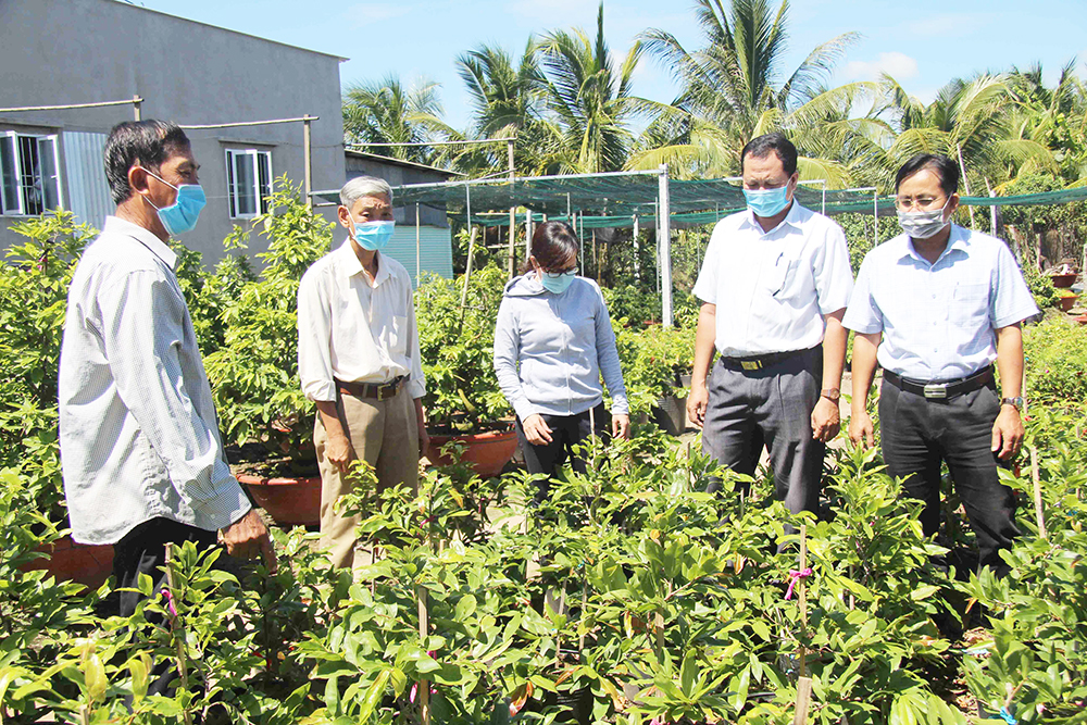 Phú Vĩnh phát huy vai trò cấp ủy Đảng trong phát triển kinh tế - xã hội