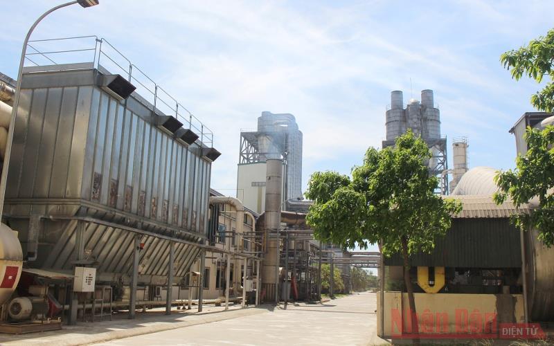 Phát triển bền vững giữa đại dịch