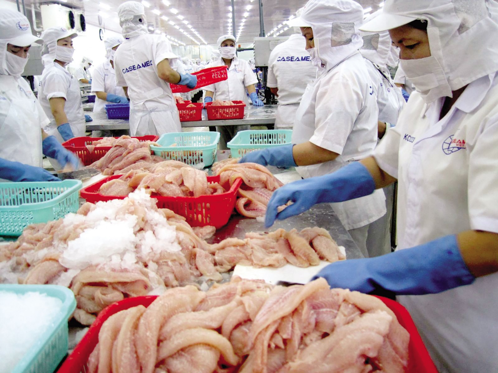 Mỹ, Nhật Bản, Trung Quốc, Hàn Quốc đồng loạt thu mua, loại nông sản này của Việt Nam rộng cửa thu 9 tỷ USD