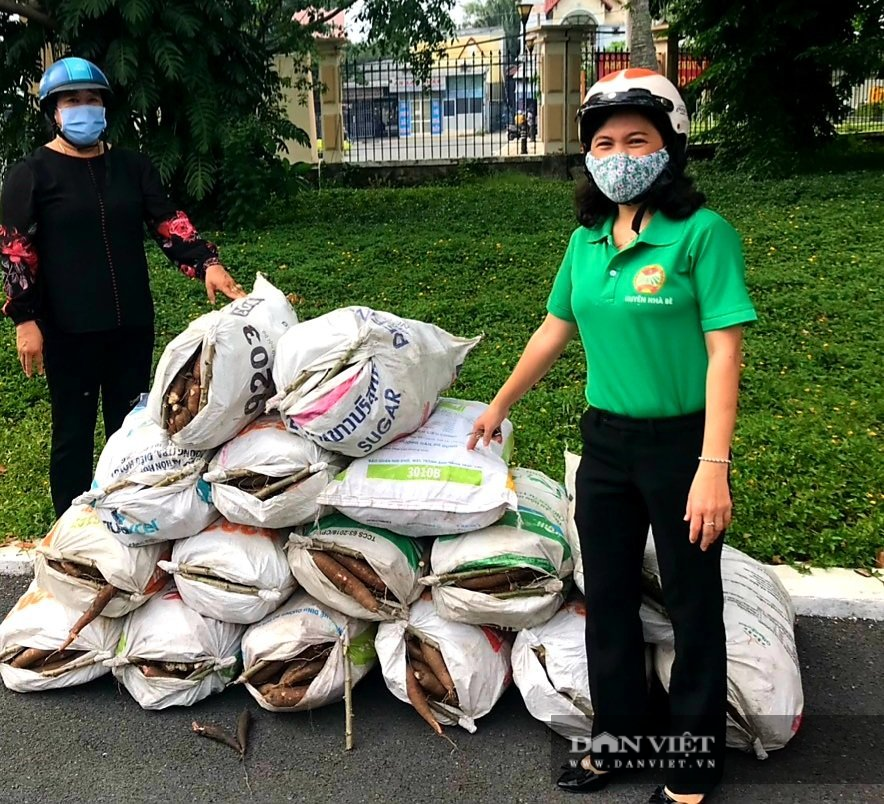 TP.HCM: Hội Nông dân lập kênh tiêu thụ nông sản hỗ trợ nông dân giữa dịch COVID-19