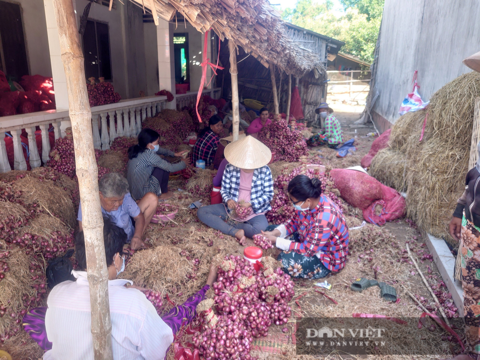 TP.HCM: Hội Nông dân lập kênh tiêu thụ nông sản hỗ trợ nông dân giữa dịch COVID-19