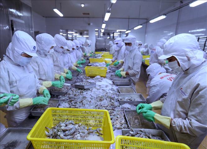 262 doanh nghiệp đạt tiêu chí vào vòng sơ tuyển doanh nghiệp xuất khẩu uy tín