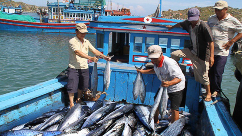 Thuỷ sản quyết tâm gỡ "thẻ vàng"