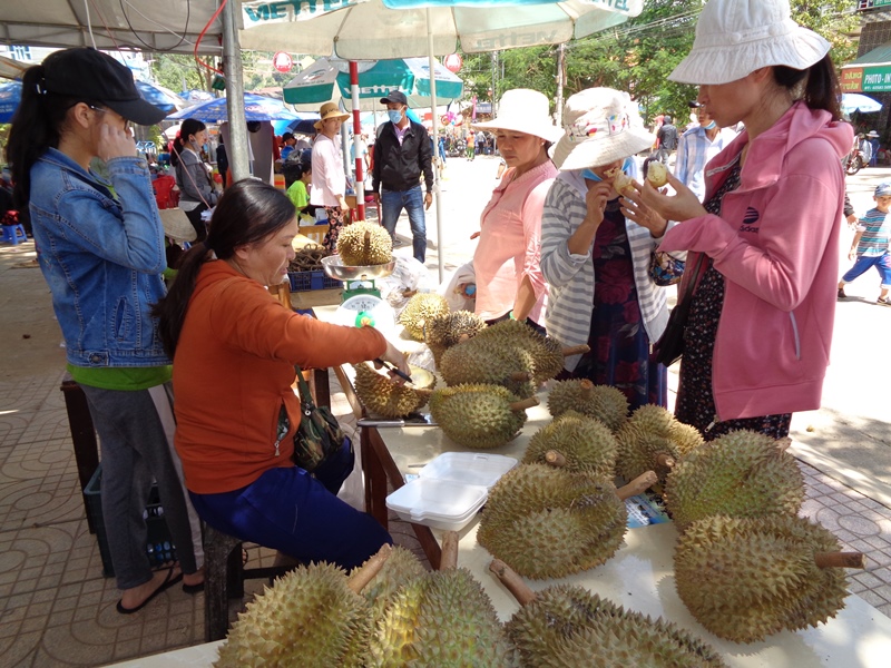 Nỗ lực tìm đầu ra cho đặc sản sầu riêng