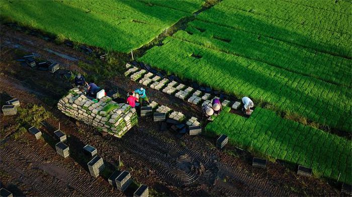 Việt Nam đạt hai bằng danh dự tại cuộc thi nhiếp ảnh FIAP năm 2021