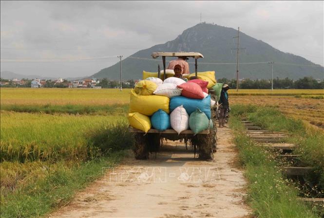 Khuyến cáo về thời gian kết thúc xuống giống vụ Thu Đông