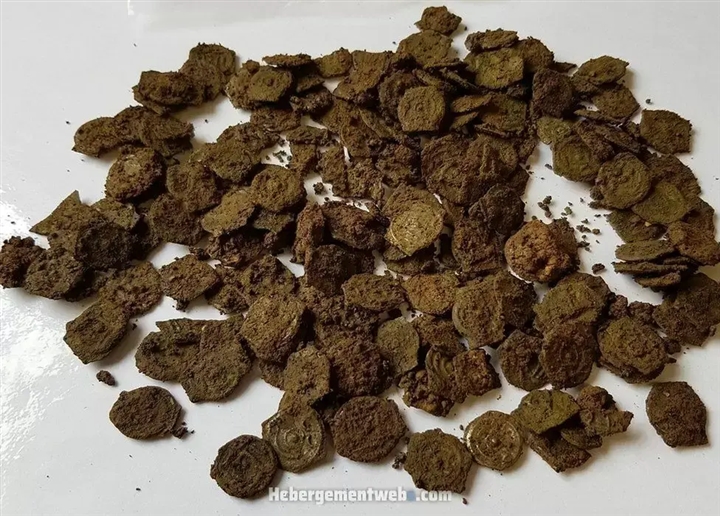 Cơn bão làm phát lộ kho báu hơn 2.000 năm tuổi