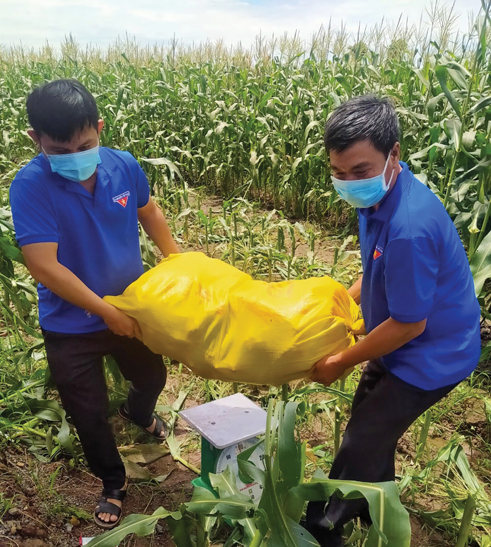 Châu Phú hỗ trợ người dân vượt qua giai đoạn khó khăn