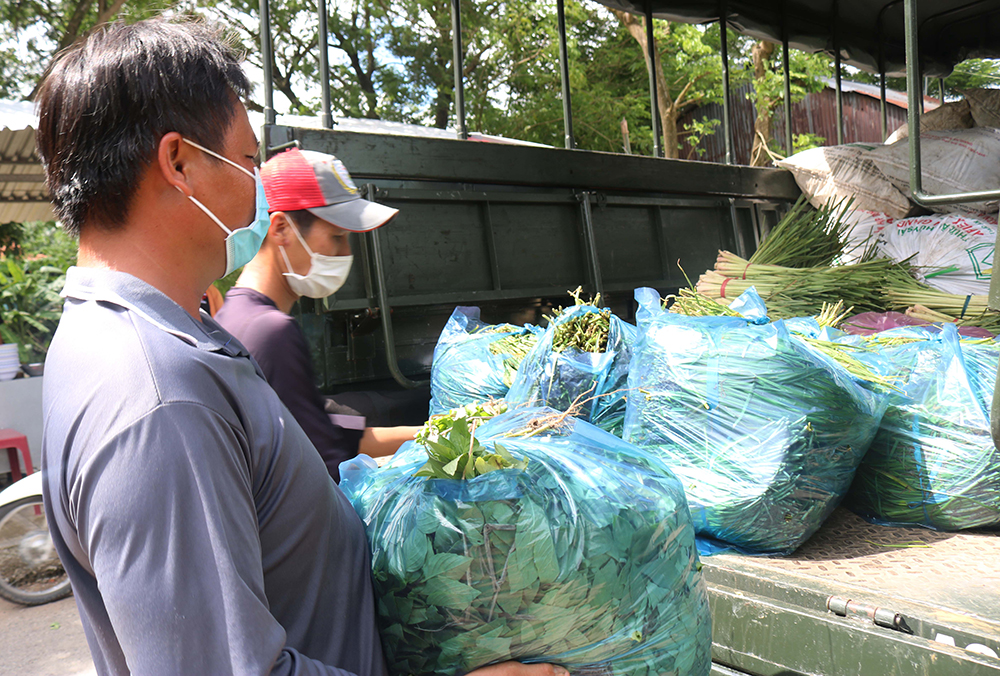 Hỗ trợ vận chuyển, tiêu thụ nông sản cho nông dân huyện Chợ Mới