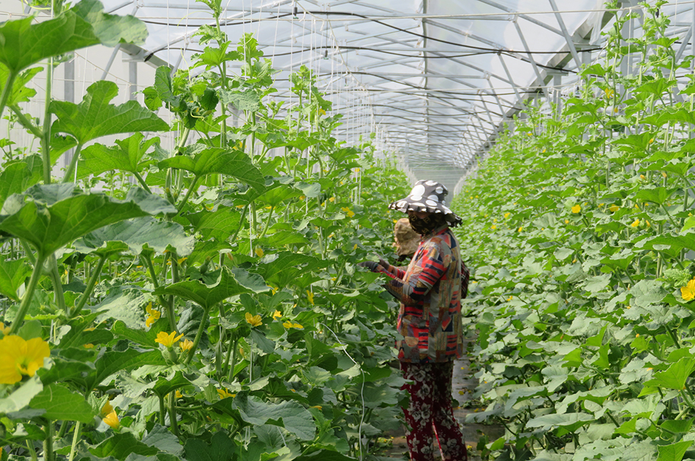 Bước chuyển từ quá trình hội nhập quốc tế