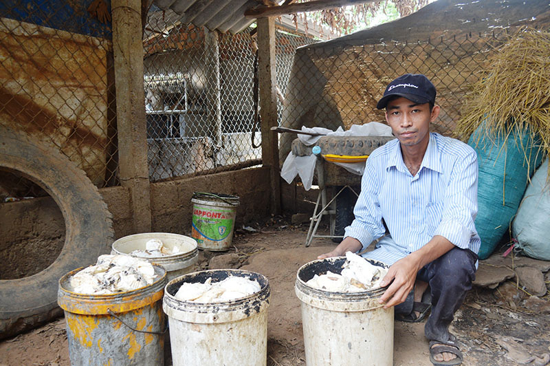 Quảng Trị: Loài cây suốt 10 năm trời mất giá chán chê, nay dân cứ xách thùng ra vườn là có tiền triệu