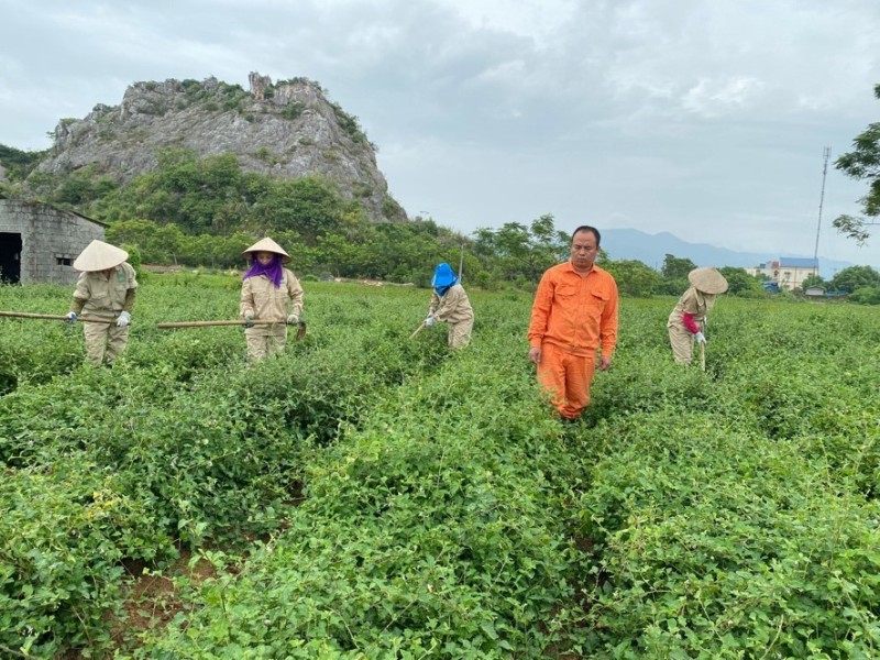 Nỗ lực đưa phẩm sản phẩm OCOP lên sàn thương mại điện tử