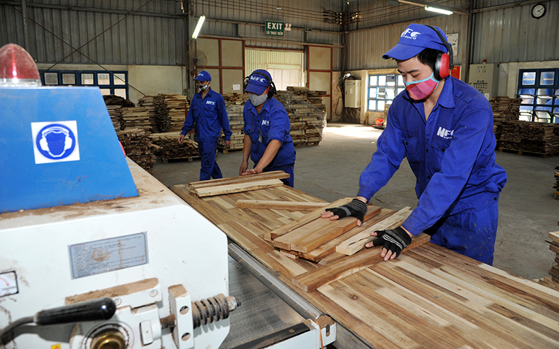 Hiện thực hóa tốt hơn cơ hội từ EVFTA