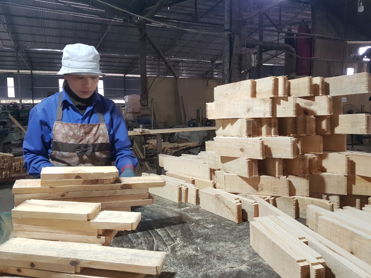 Hợp đồng từ Mỹ, Trung Quốc bay về tới tấp, loại nông sản này sẽ mang về cho Việt Nam 15,5 tỷ USD?