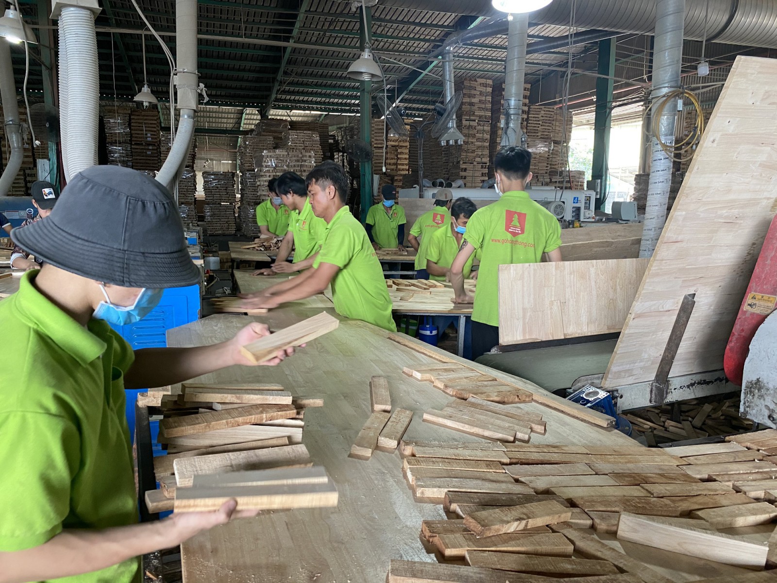 Hợp đồng từ Mỹ, Trung Quốc bay về tới tấp, loại nông sản này sẽ mang về cho Việt Nam 15,5 tỷ USD?
