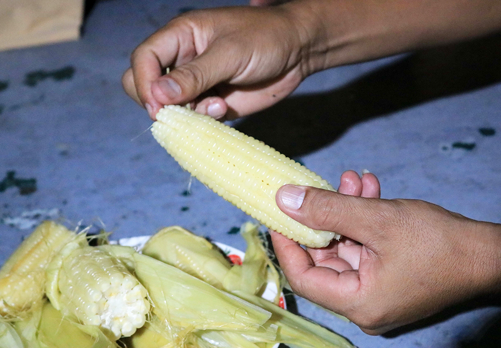 Những chiến sĩ phòng, chống dịch trên sông