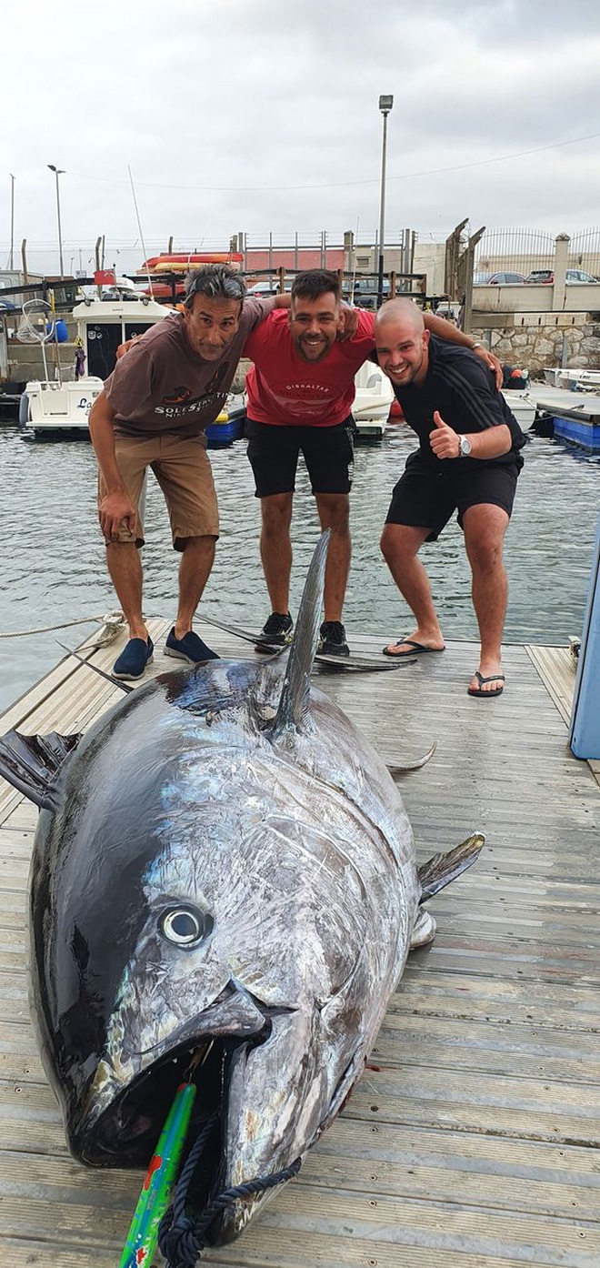 Cần thủ câu được con cá ngừ nặng 328kg