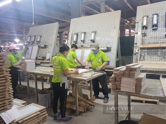 4 cường quốc chi 15,6 tỷ USD mua lượng khổng lồ, giá 4 loại nông sản của Việt Nam tăng vù vù