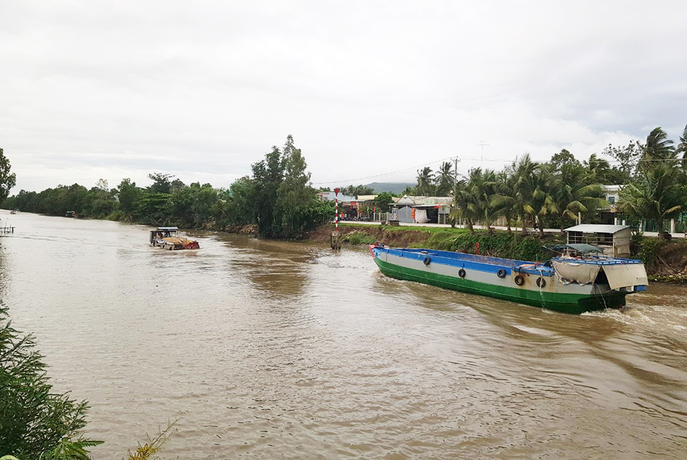An Giang: Nông dân vẫn gặp khó trong thu hoạch, tiêu thụ lúa - Báo An ...