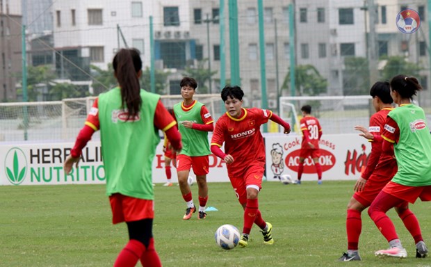 Tuyển Nữ Việt Nam Có 3 Trận Đấu Vòng Loại Asian Cup Vào Cuối Tháng 9 - Báo  An Giang Online