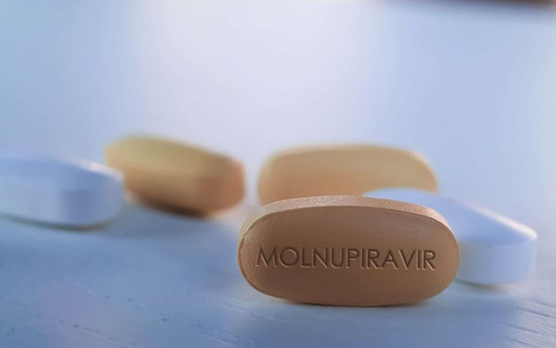 COVID-19: Thuốc kháng virus Molnupiravir có tỷ lệ âm hóa virus cao