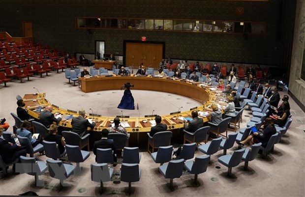 HĐBA thông qua các nghị quyết liên quan đến Mali, Liban và Somalia