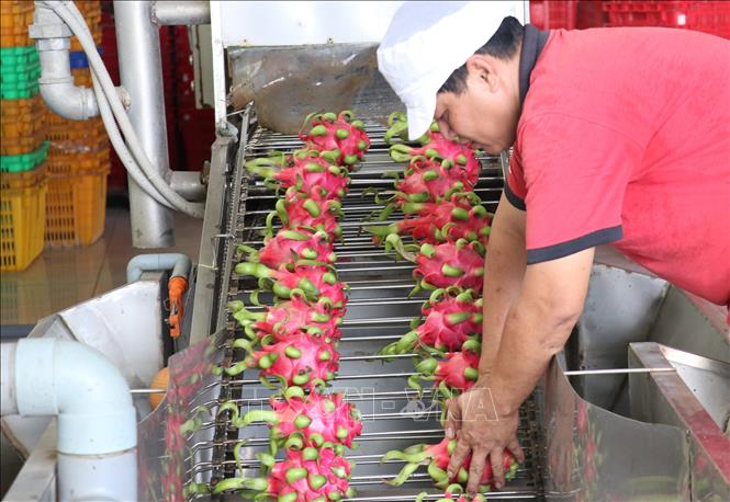 Tiếp cận đối tác tiềm năng để xuất khẩu nông sản sang Anh