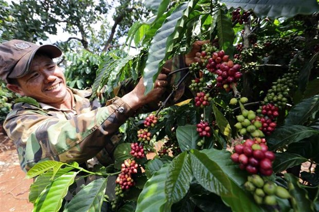 Tiếp cận đối tác tiềm năng để xuất khẩu nông sản sang Anh