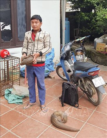 Bắt giữ 2 đối tượng vận chuyển động vật hoang dã