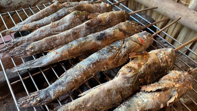 Đặc sản "trời ban" xấu "hết phần thiên hạ", có tiền cũng khó mua ở Cà Mau