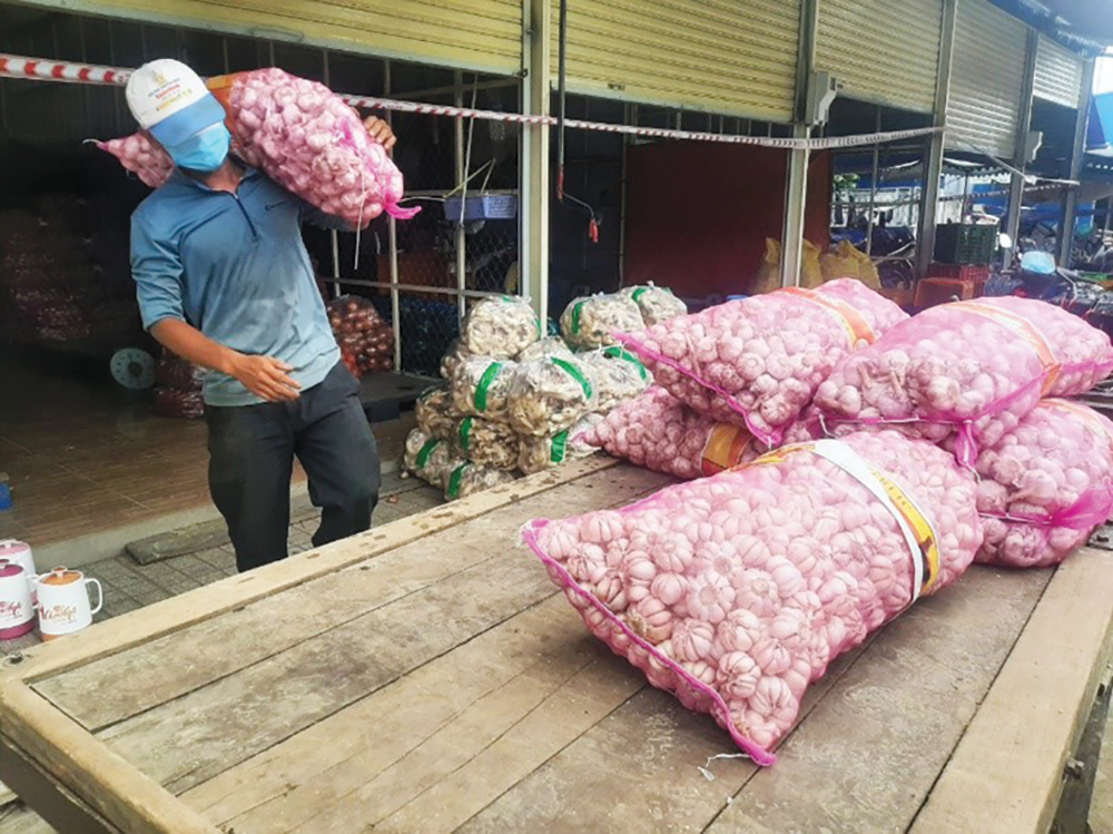 Trở lại mưu sinh
