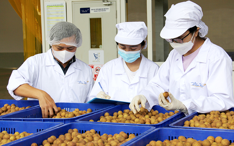 “Thông đường” cho nông sản miền bắc