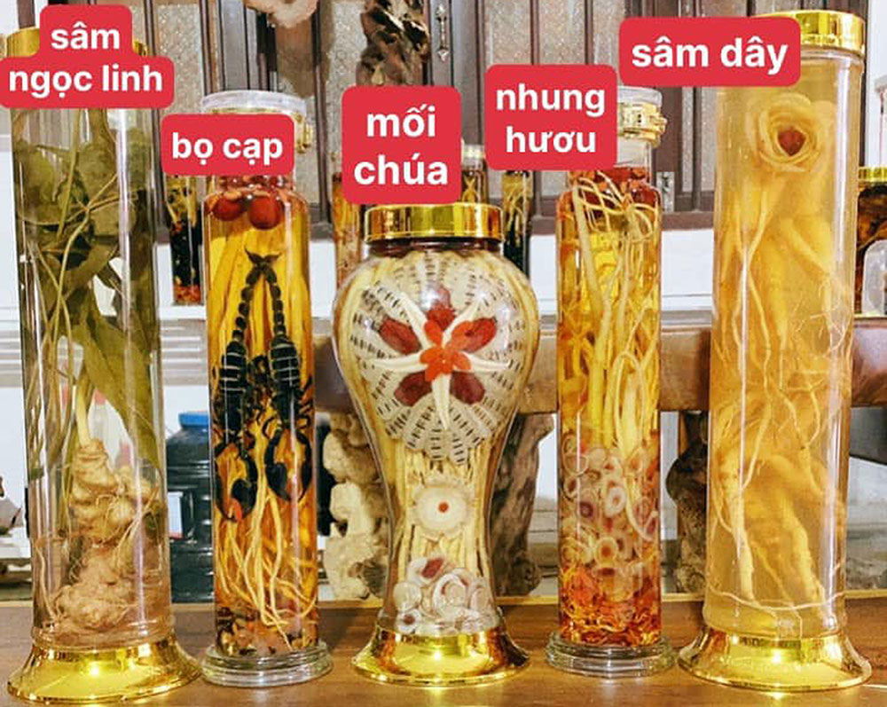 Cẩn thận khi ngâm rượu thuốc tại nhà