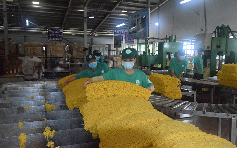 Ngành cao-su duy trì tăng trưởng trong vùng tâm dịch