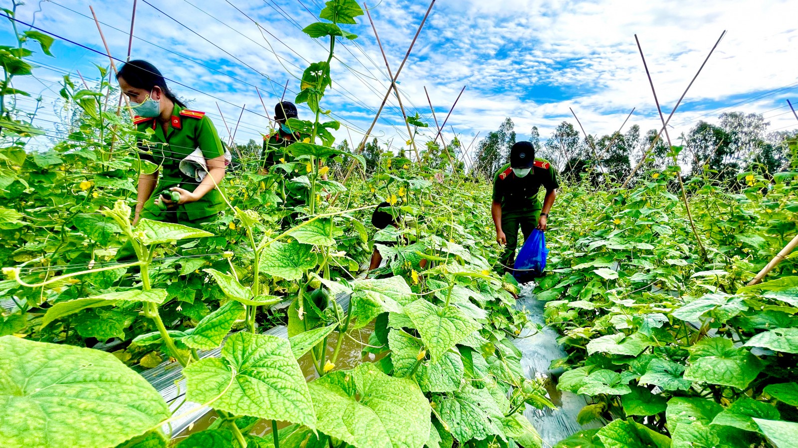 Công an An Giang và hành trình san sẻ yêu thương