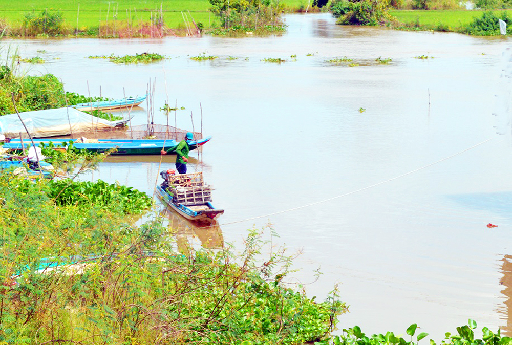 Đón lũ thời COVID-19