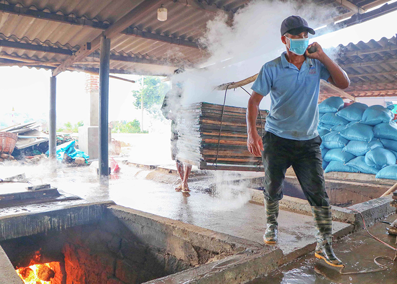 Nhộn nhịp nghề hấp cá ở Ninh Thuận