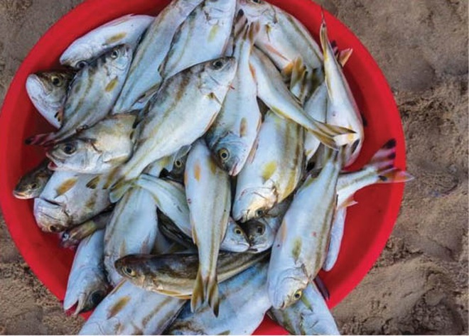"Trốn" về với biển Vinh Thanh