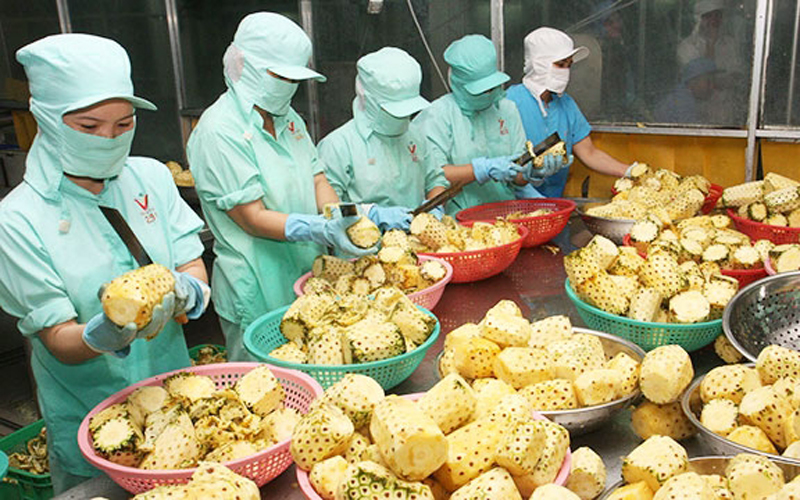 Thủ tướng Chính phủ chỉ đạo thúc đẩy sản xuất, lưu thông, xuất khẩu nông sản