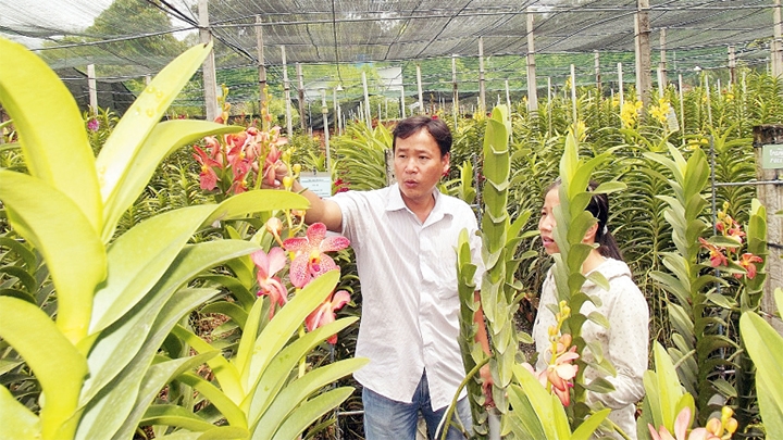 Giải bài toán nguồn nhân lực nông nghiệp
