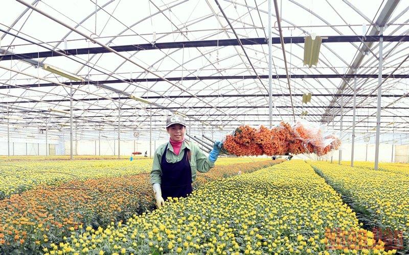 Áp dụng khoa học công nghệ vào sản xuất nông nghiệp
