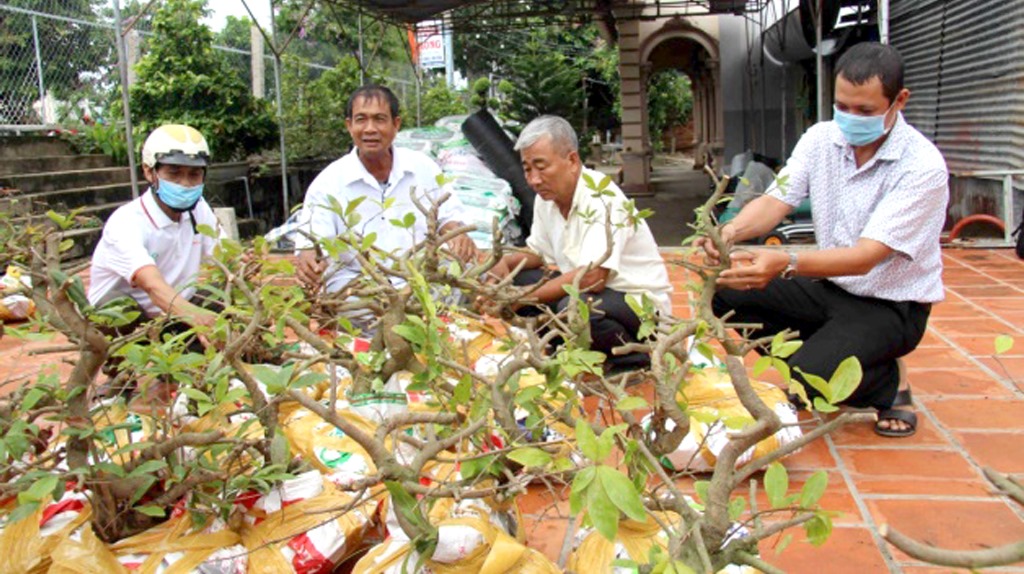 Tân Châu nỗ lực xây dựng nông thôn mới