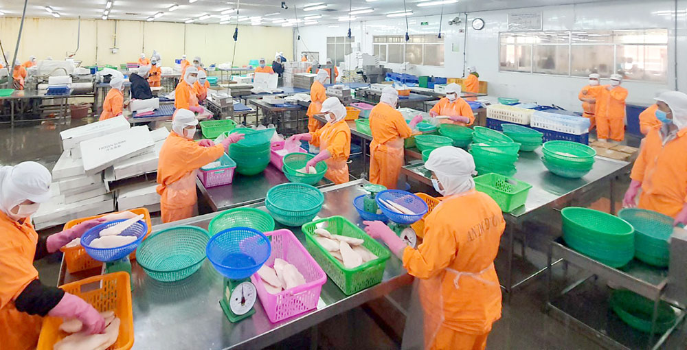 Vực dậy thế mạnh ngành hàng thủy sản