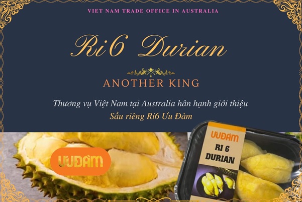 Ở nơi này, sầu riêng Ri6 của Việt Nam được ưa chuộng hơn cả sầu riêng Musang King