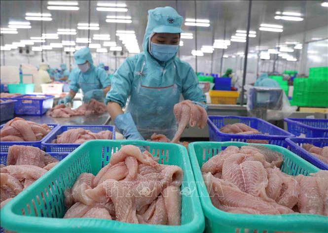 Chuyên gia đánh giá về khả năng tăng trưởng quý III/2021