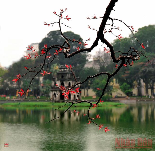 Triển lãm trực tuyến: “Hồ Gươm, giao lộ Đông - Tây”
