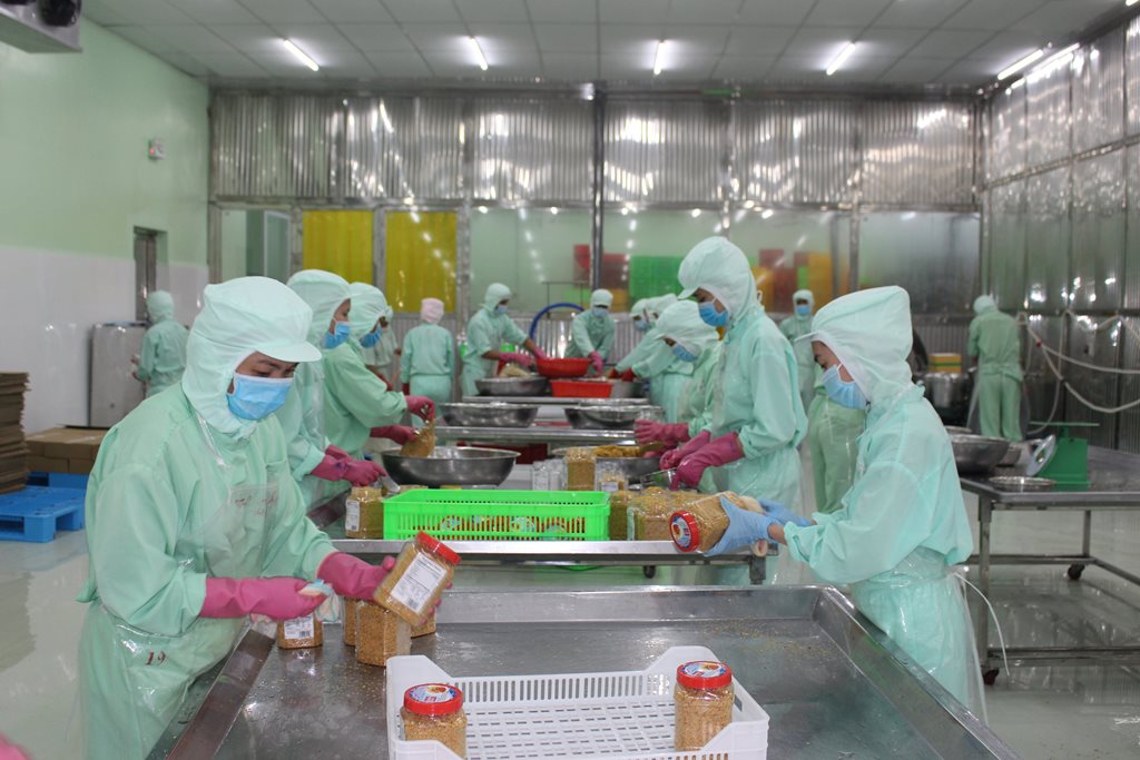 Khôi phục kinh tế trong tình hình mới