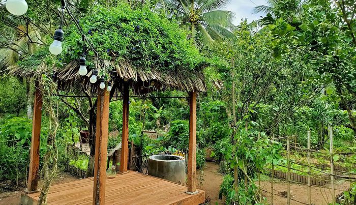 Cặp đôi Bến Tre 'bỏ phố về quê' làm nông trại đẹp như khu du lịch