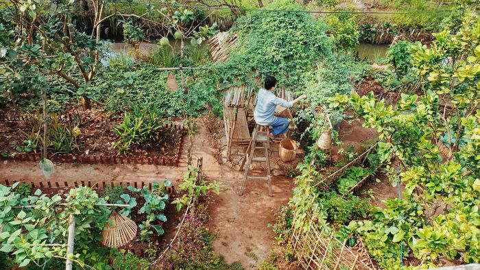 Cặp đôi Bến Tre 'bỏ phố về quê' làm nông trại đẹp như khu du lịch