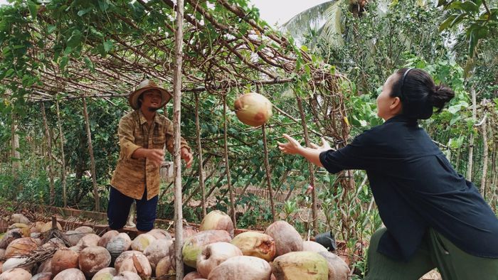 Cặp đôi Bến Tre 'bỏ phố về quê' làm nông trại đẹp như khu du lịch